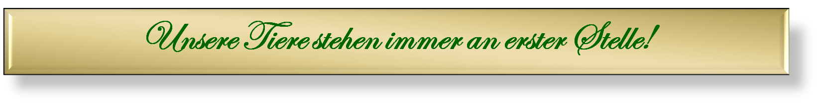 Text Tiere 1.Stelle